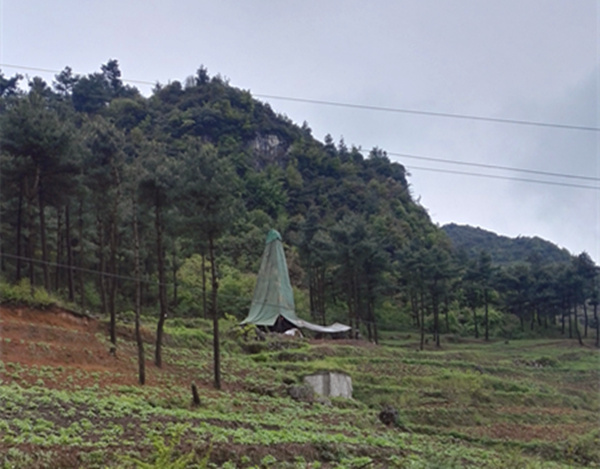 把脈“黔”鋅地，問(wèn)診開(kāi)良方